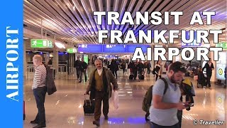 TRANSIT WALK AT FRANKFURT Airport FRA Terminal 1  Connection Flight Transfer Arriving amp Departing [upl. by Drofniw]